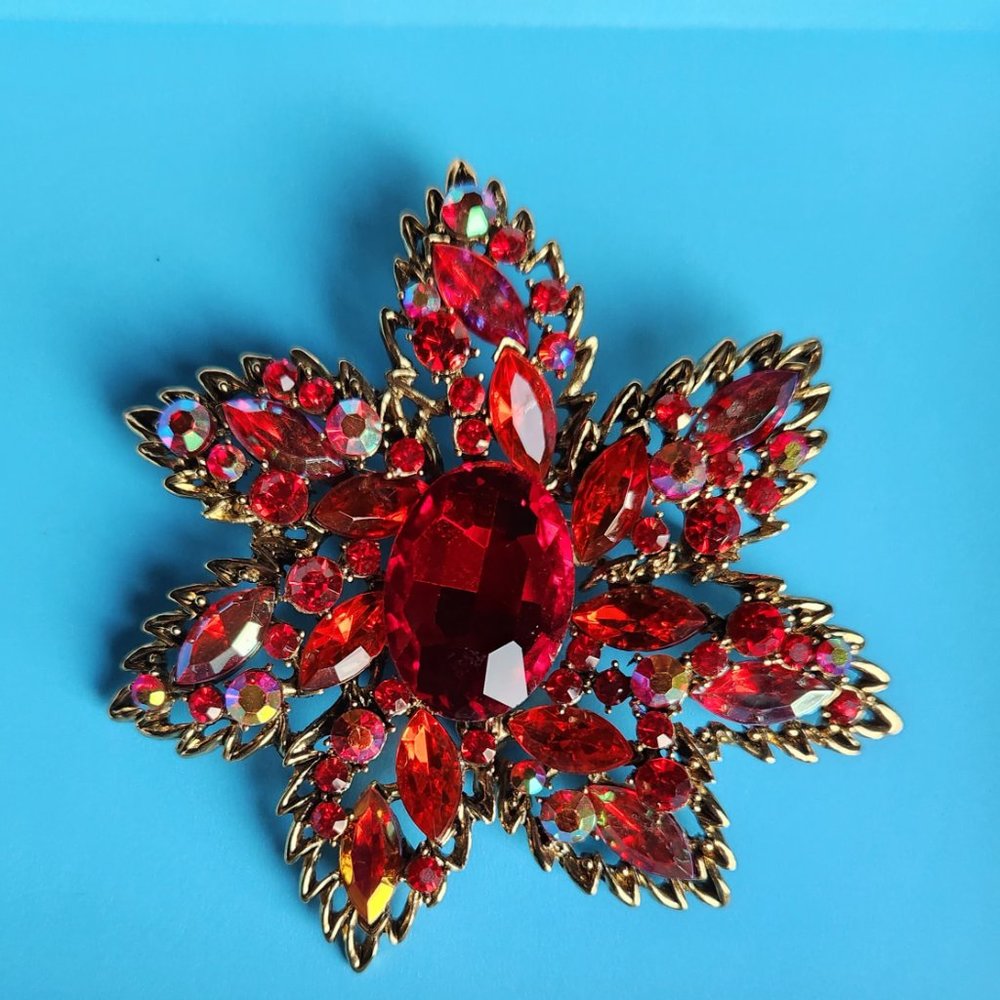 Red Gemstone Ladies Red Exquisite Brooch NWOT